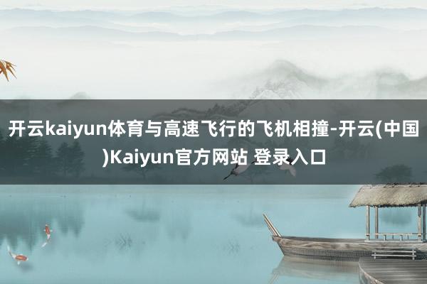 开云kaiyun体育与高速飞行的飞机相撞-开云(中国)Kaiyun官方网站 登录入口