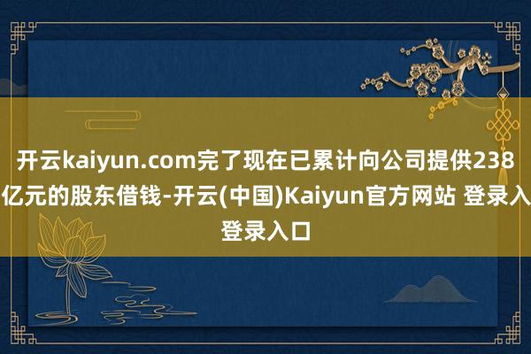 开云kaiyun.com完了现在已累计向公司提供238.8亿元的股东借钱-开云(中国)Kaiyun官方网站 登录入口