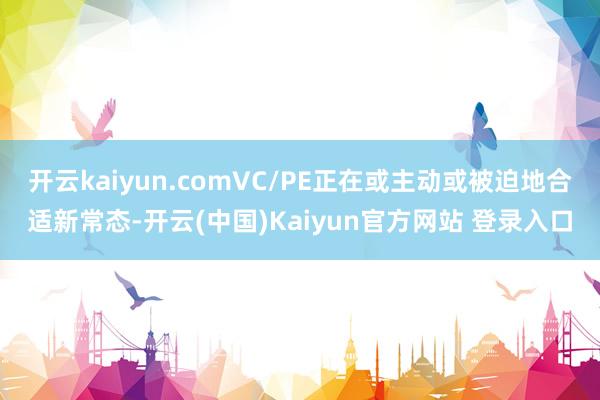 开云kaiyun.comVC/PE正在或主动或被迫地合适新常态-开云(中国)Kaiyun官方网站 登录入口